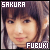 The 'Sakura Fubuki' Fanlisting