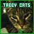 The Tabby Cat Fanlisting